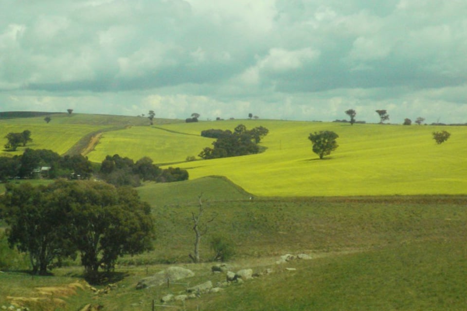 Sydney to Melbourne on the Countrylink
