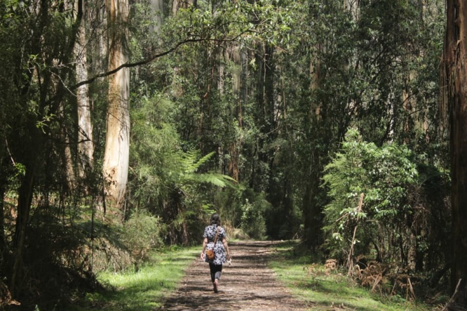 Melbourne Excursions