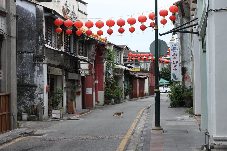 Street Food and Art in Penang