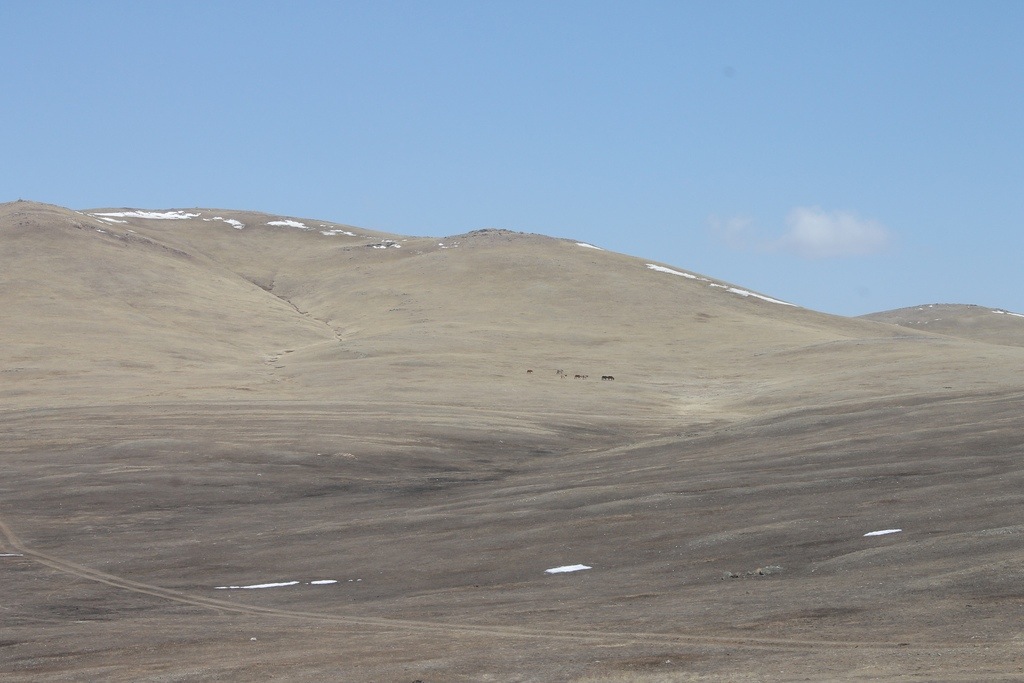 20130514-220235.jpg